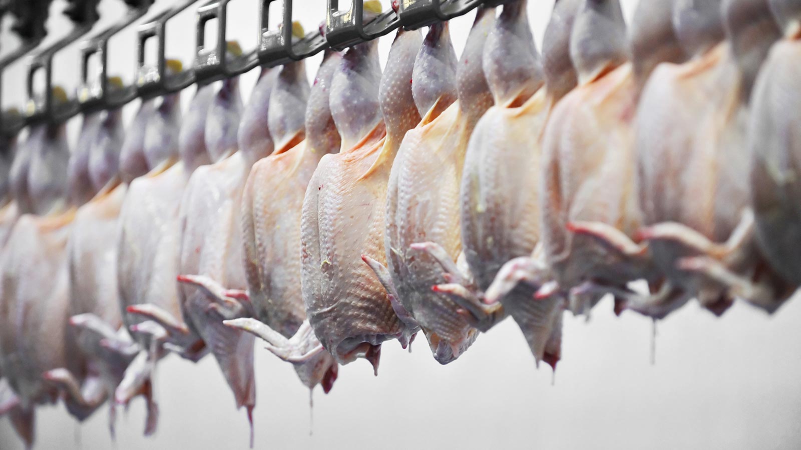 Normas de higiene y seguridad alimentaria